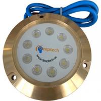 DeepTech Bora 40W Bronz Sualtı LED Lamba Mavi Renk